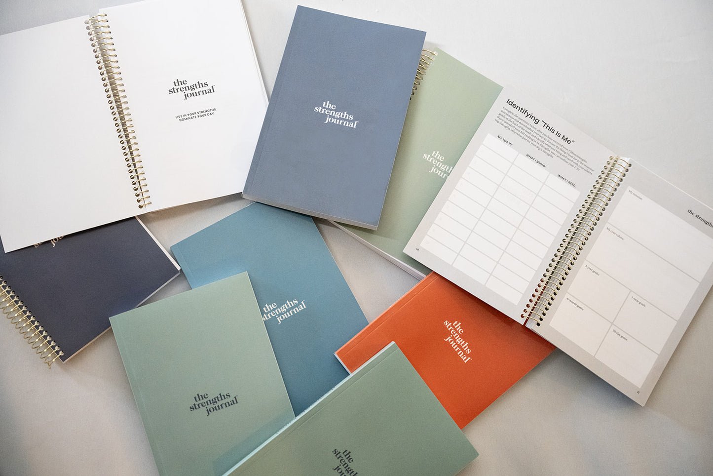 The Strengths Journal™ (Paperback) — 4 Pack (Mixed Color Variety)